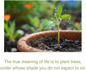 a sprout in a clay pot with writing underneat it